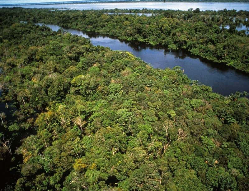 New Scientist. Science news and long reads from expert journalists, covering developments in science, technology, health and the environment on the website and the magazine.