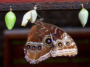 Time well spent: Get the most from your postdoc