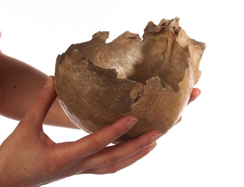 Was this skull in Gough cave linked to cannibalism?