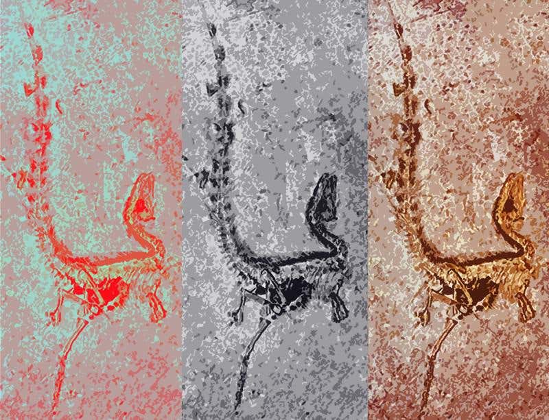 New Scientist. Science news and long reads from expert journalists, covering developments in science, technology, health and the environment on the website and the magazine.