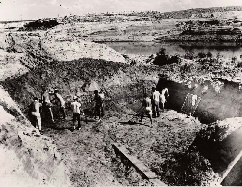 New Scientist. Science news and long reads from expert journalists, covering developments in science, technology, health and the environment on the website and the magazine.