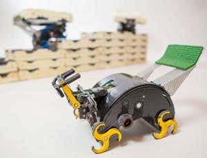 Termite robots build castles with no human help