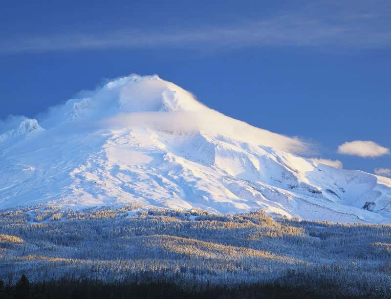 New Scientist. Science news and long reads from expert journalists, covering developments in science, technology, health and the environment on the website and the magazine.