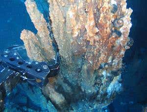 New Scientist. Science news and long reads from expert journalists, covering developments in science, technology, health and the environment on the website and the magazine.