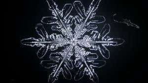 Sublime six-sided snowflakes bloom in slow motion