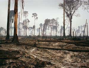 A new green Enlightenment will define our age