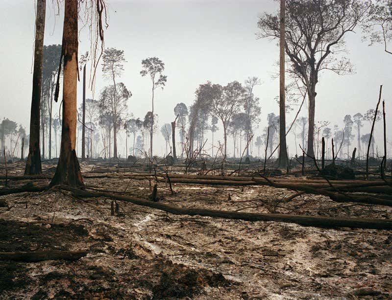 New Scientist. Science news and long reads from expert journalists, covering developments in science, technology, health and the environment on the website and the magazine.