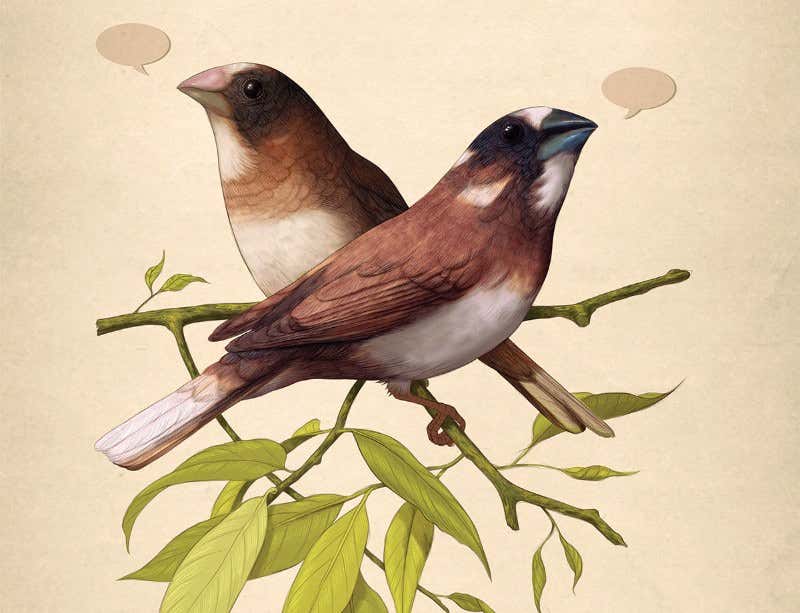 New Scientist. Science news and long reads from expert journalists, covering developments in science, technology, health and the environment on the website and the magazine.