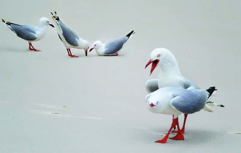 New Scientist. Science news and long reads from expert journalists, covering developments in science, technology, health and the environment on the website and the magazine.