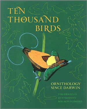 Flights of fancy: An enchanting history of ornithology