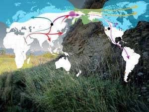 Ancestry of first Americans revealed by a boy's genome