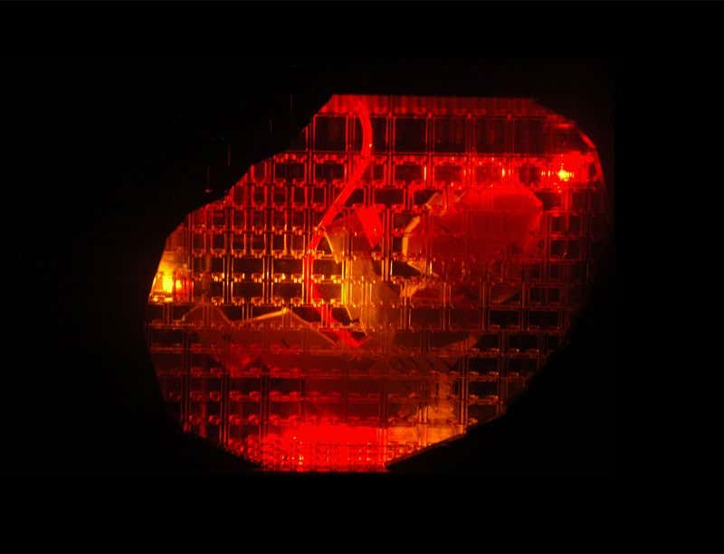 New Scientist. Science news and long reads from expert journalists, covering developments in science, technology, health and the environment on the website and the magazine.