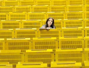 Leagues ahead? The best way to judge universities