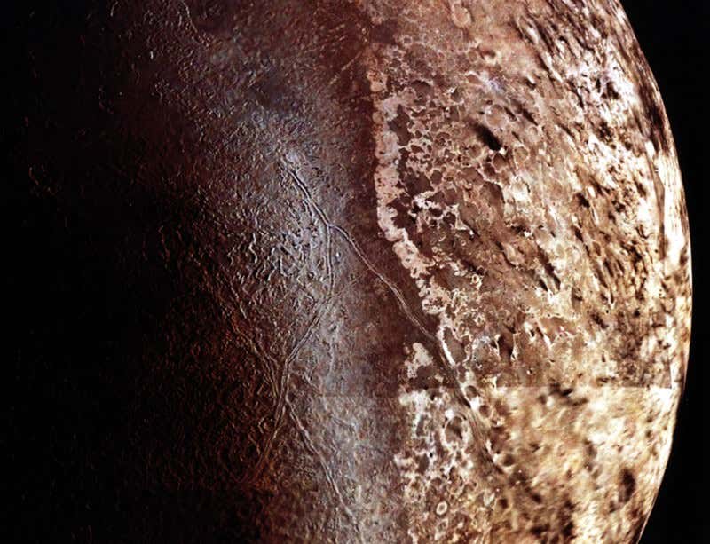 New Scientist. Science news and long reads from expert journalists, covering developments in science, technology, health and the environment on the website and the magazine.