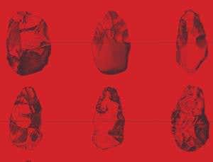 Sharp thinking: How shaping tools built our brains