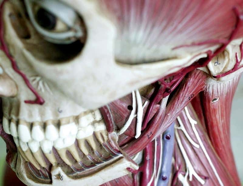 New Scientist. Science news and long reads from expert journalists, covering developments in science, technology, health and the environment on the website and the magazine.