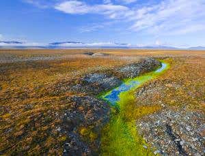 Biggest-ever virus revived from Stone Age permafrost