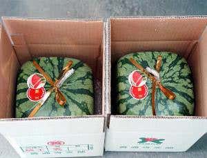 'Angry alien' in packing puzzle shocks mathematicians