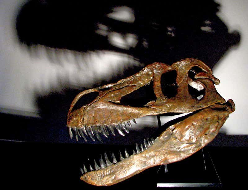 New Scientist. Science news and long reads from expert journalists, covering developments in science, technology, health and the environment on the website and the magazine.