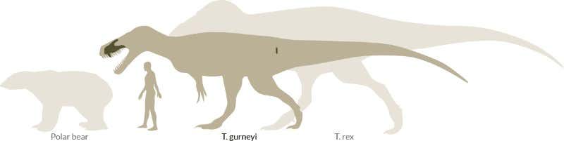 Europe gets its own version of Tyrannosaurus rex