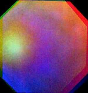 New Scientist. Science news and long reads from expert journalists, covering developments in science, technology, health and the environment on the website and the magazine.