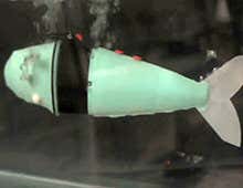 Robot fish changes direction with a quick tail wiggle