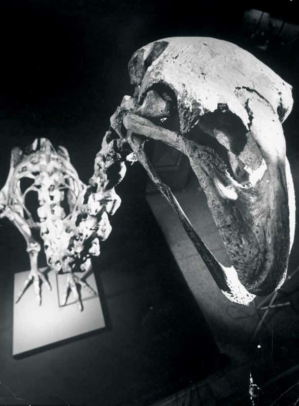 New Scientist. Science news and long reads from expert journalists, covering developments in science, technology, health and the environment on the website and the magazine.