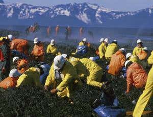 Is Exxon Valdez oil still a threat 25 years on?