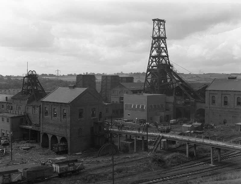 New Scientist. Science news and long reads from expert journalists, covering developments in science, technology, health and the environment on the website and the magazine.