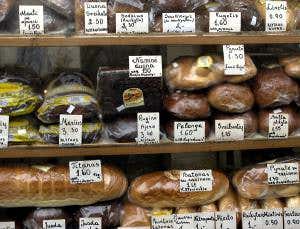 Obesity linked to our ability to digest carbohydrates