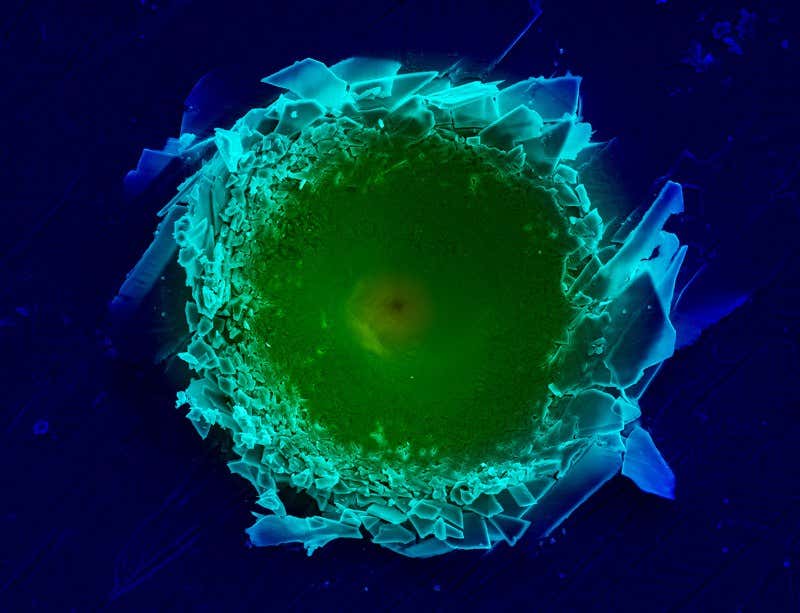 New Scientist. Science news and long reads from expert journalists, covering developments in science, technology, health and the environment on the website and the magazine.