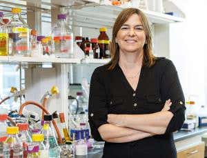 I'm breeding biodegradable batteries from viruses