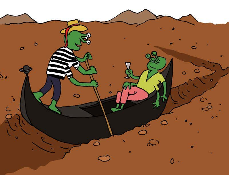 New Scientist. Science news and long reads from expert journalists, covering developments in science, technology, health and the environment on the website and the magazine.