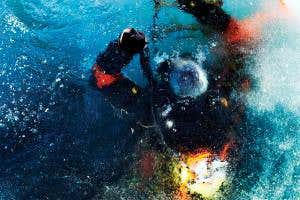 Peering through the ice at a key Antarctic species