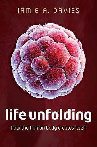 How to be human: The laws that governed your growth