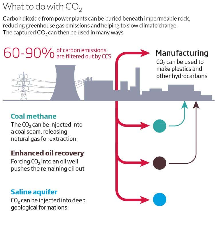 Trailblazing power plant is first to bury its carbon