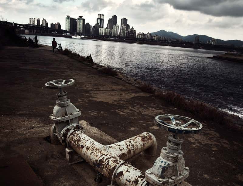 New Scientist. Science news and long reads from expert journalists, covering developments in science, technology, health and the environment on the website and the magazine.