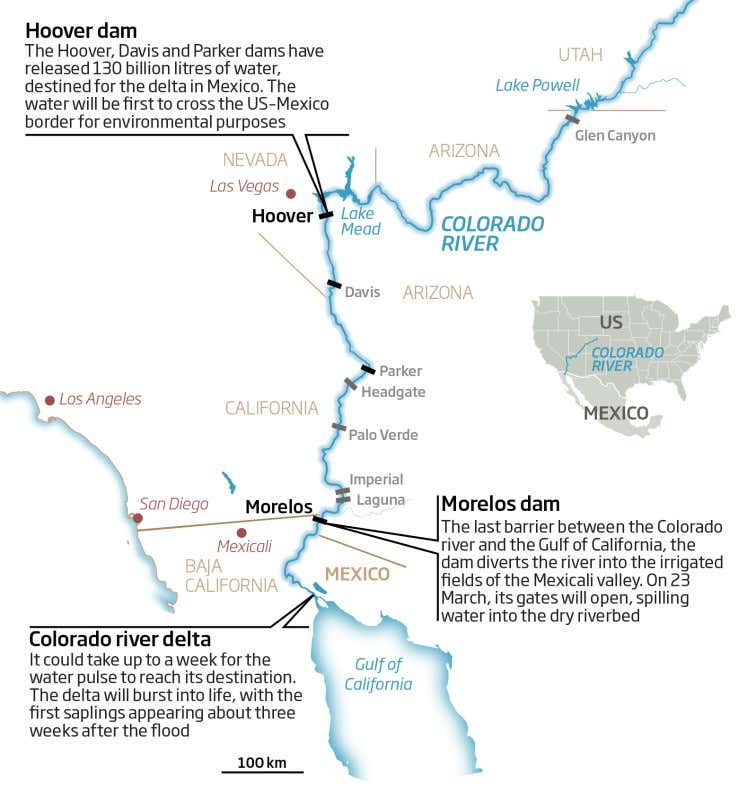 Huge water pulse to bring Colorado river back from dead