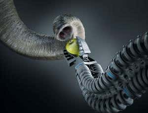 Robot elephant trunk learns motor skills like a baby