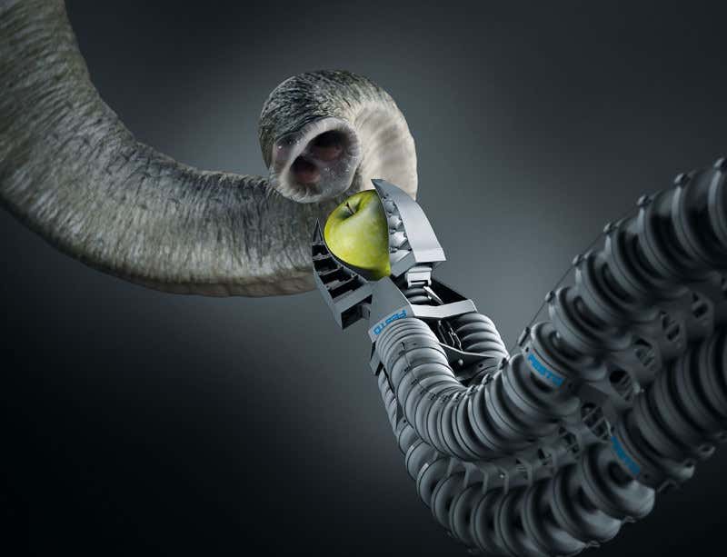 New Scientist. Science news and long reads from expert journalists, covering developments in science, technology, health and the environment on the website and the magazine.