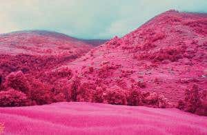 Invisible: Photo of a landscape no human can ever see