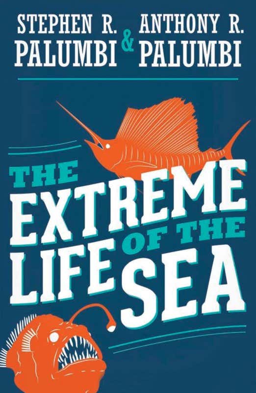 A wild ride through the ocean's strangest creatures