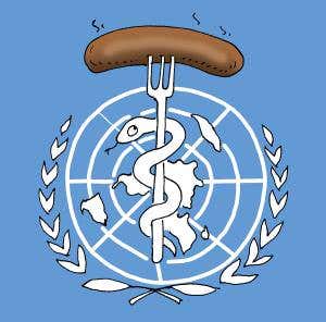 Feedback: Attend to their sugared words