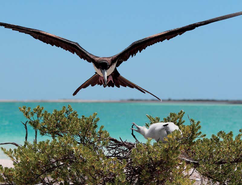 New Scientist. Science news and long reads from expert journalists, covering developments in science, technology, health and the environment on the website and the magazine.