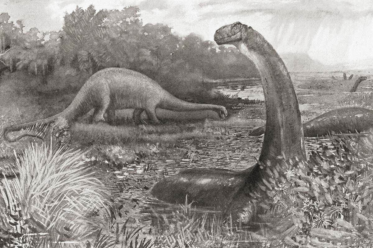 New Scientist. Science news and long reads from expert journalists, covering developments in science, technology, health and the environment on the website and the magazine.