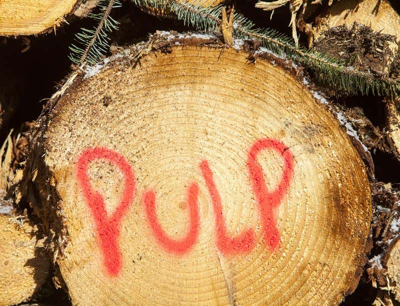 New Scientist. Science news and long reads from expert journalists, covering developments in science, technology, health and the environment on the website and the magazine.