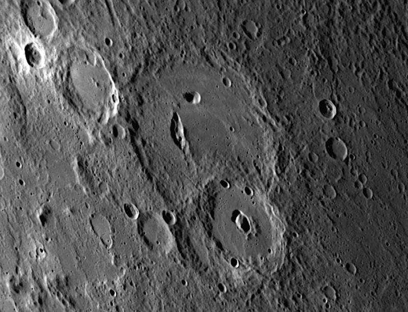 New Scientist. Science news and long reads from expert journalists, covering developments in science, technology, health and the environment on the website and the magazine.