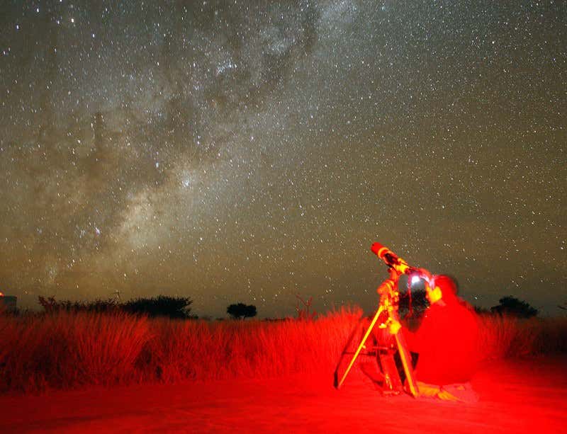 New Scientist. Science news and long reads from expert journalists, covering developments in science, technology, health and the environment on the website and the magazine.