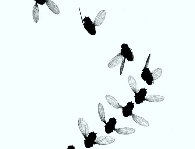 New Scientist. Science news and long reads from expert journalists, covering developments in science, technology, health and the environment on the website and the magazine.