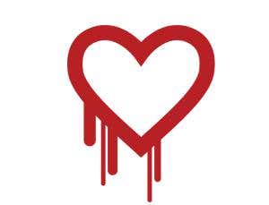 Why a hacker got paid for finding the Heartbleed bug